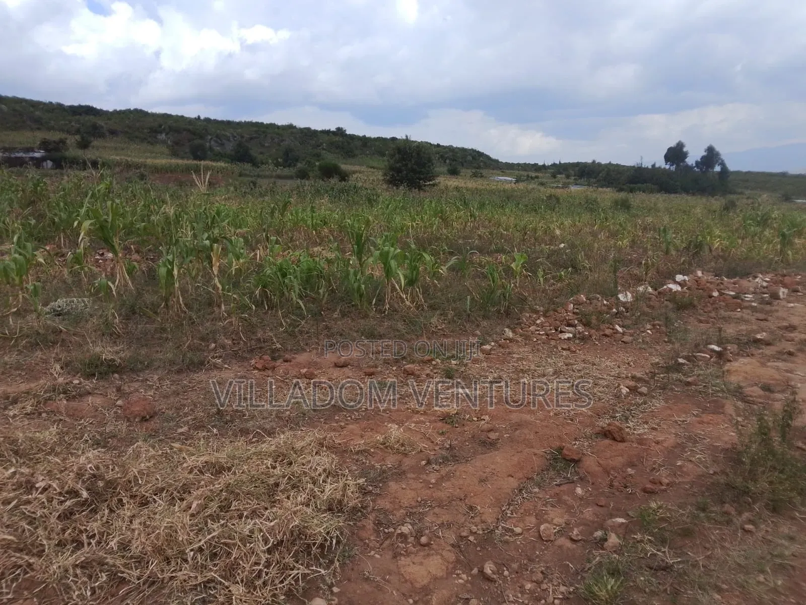 For Quick Sale 50/100 Plot in Gilgil Very Strategically Located