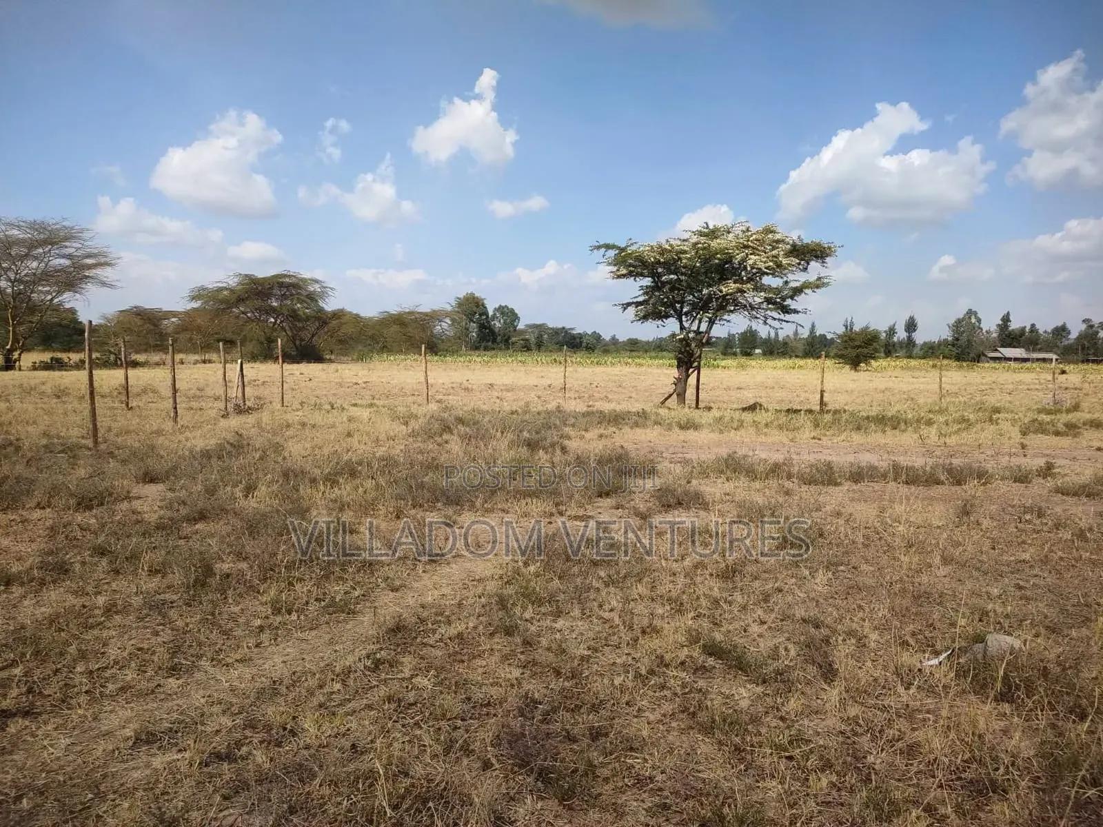 For Quick Sale 50/100 Plot in Gilgil Very Strategically Located