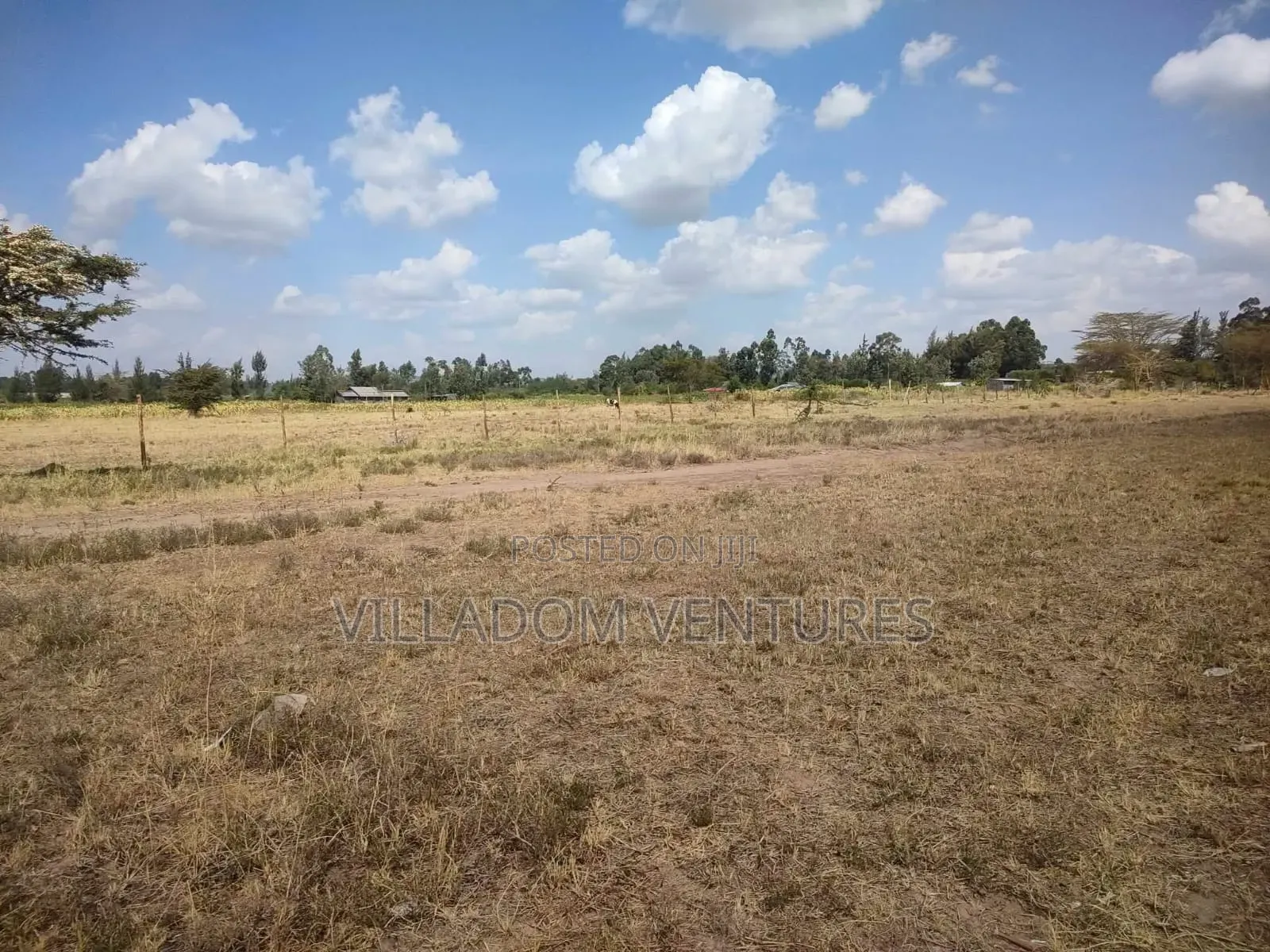 For Quick Sale 50/100 Plot in Gilgil Very Strategically Located