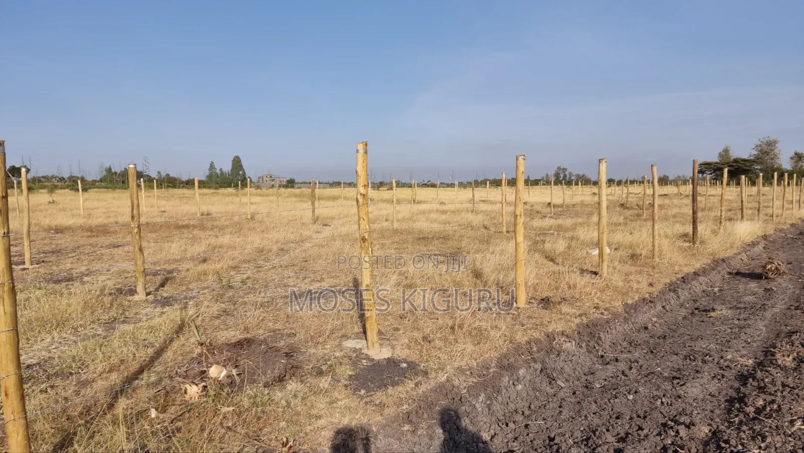 Jujafarm, Kwamurage, 50x100 Plots.