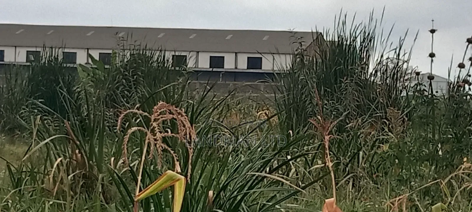 Thika Industrial Land for Sale!