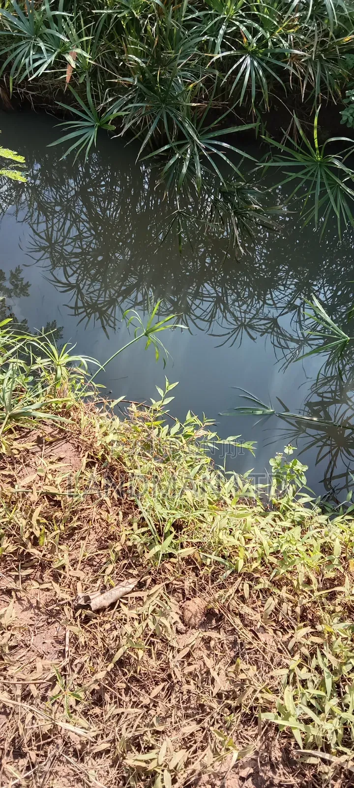 Prime 2acs Farm in Makuyu Muranga