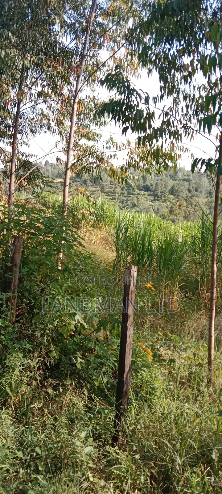 Prime 2acs Farm in Makuyu Muranga