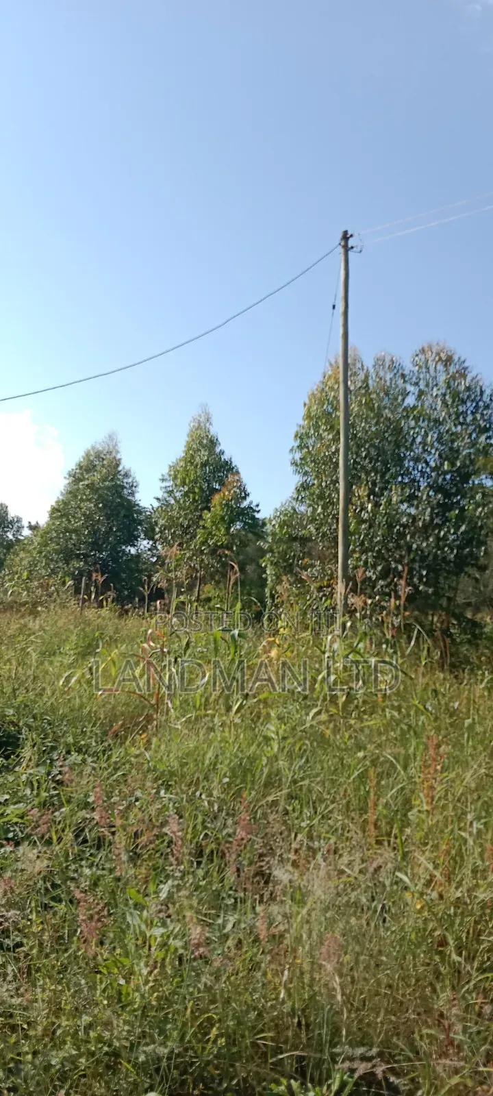 Prime 2acs Farm in Makuyu Muranga
