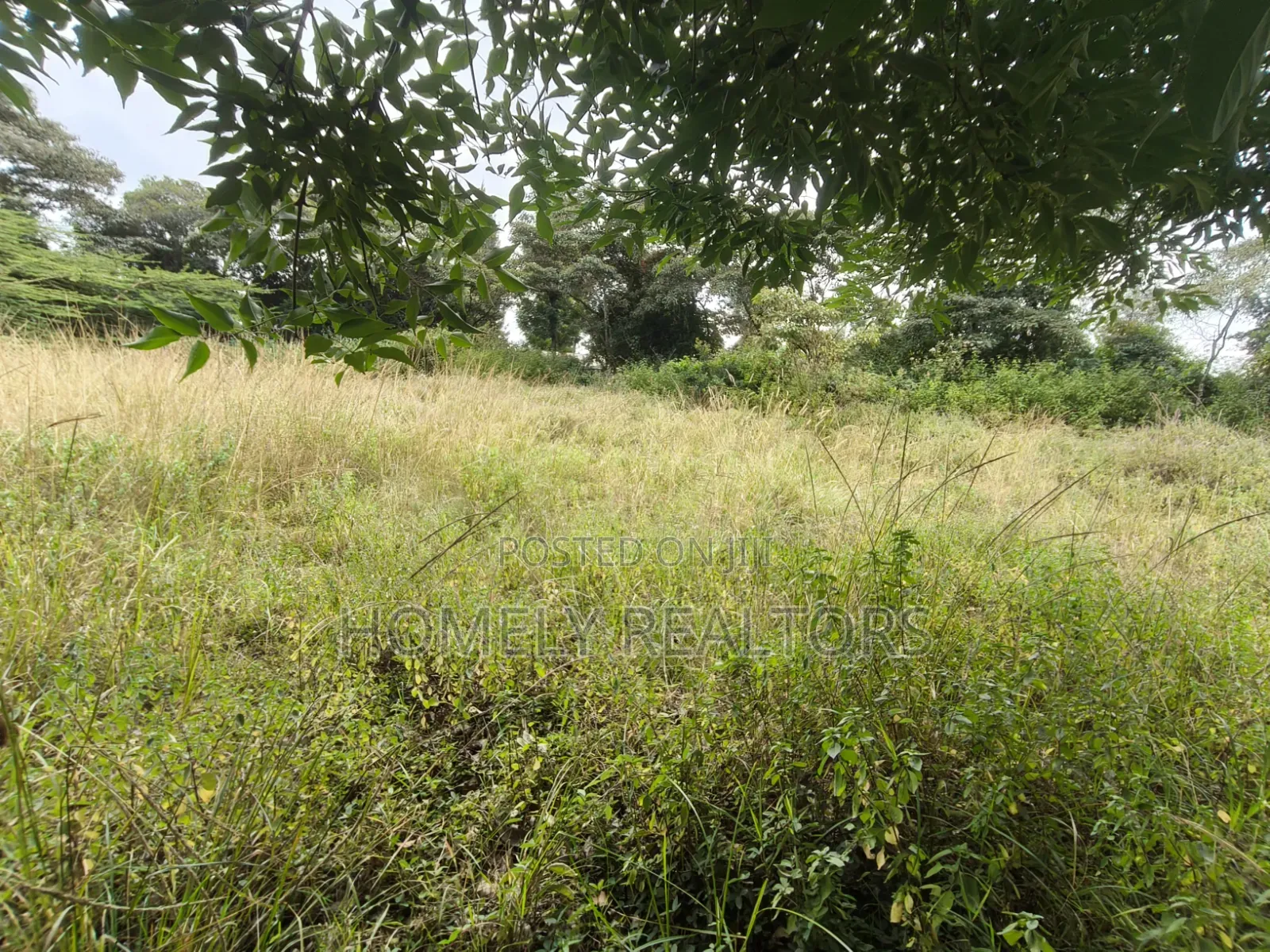 Residential Half Acre Piece of Land for Sale in Ngong, Ol Keri