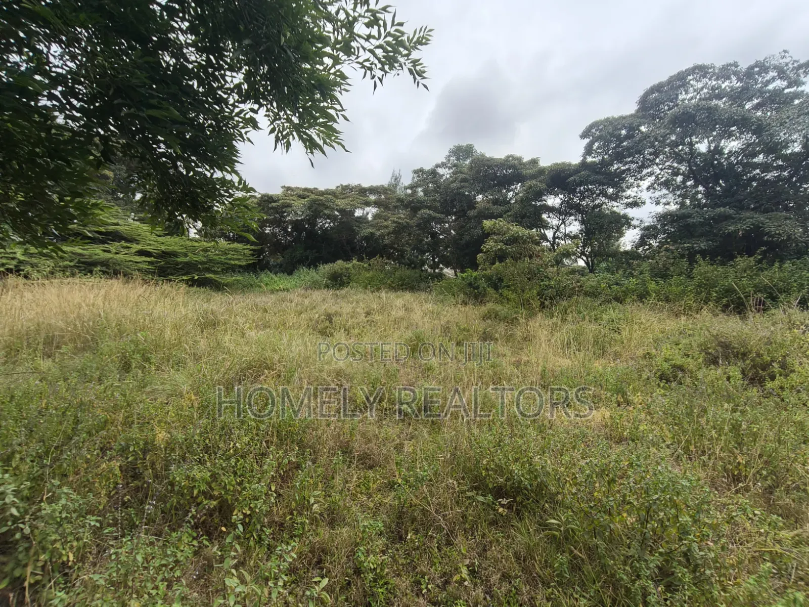 Residential Half Acre Piece of Land for Sale in Ngong, Ol Keri