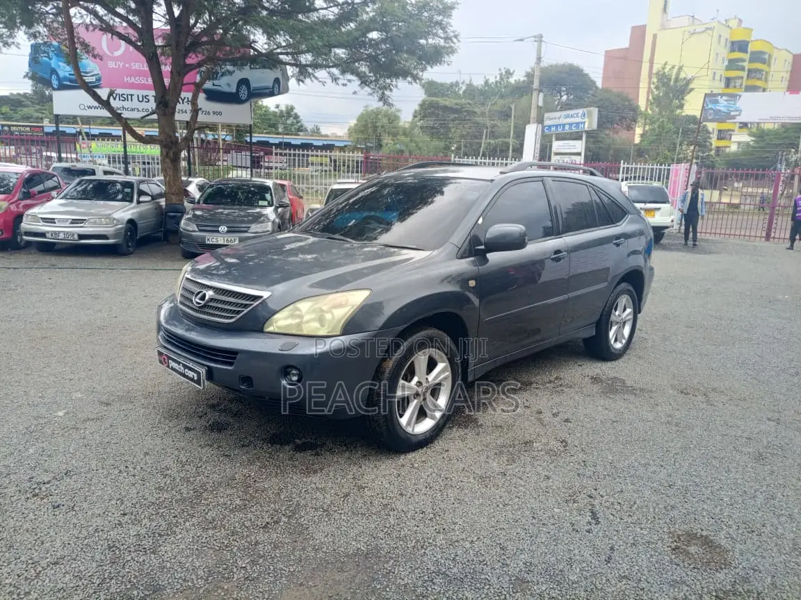 Lexus RX 2005 Gray