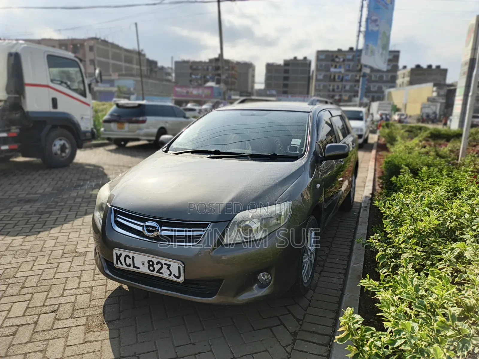 Toyota Corolla Fielder 2009 Gray