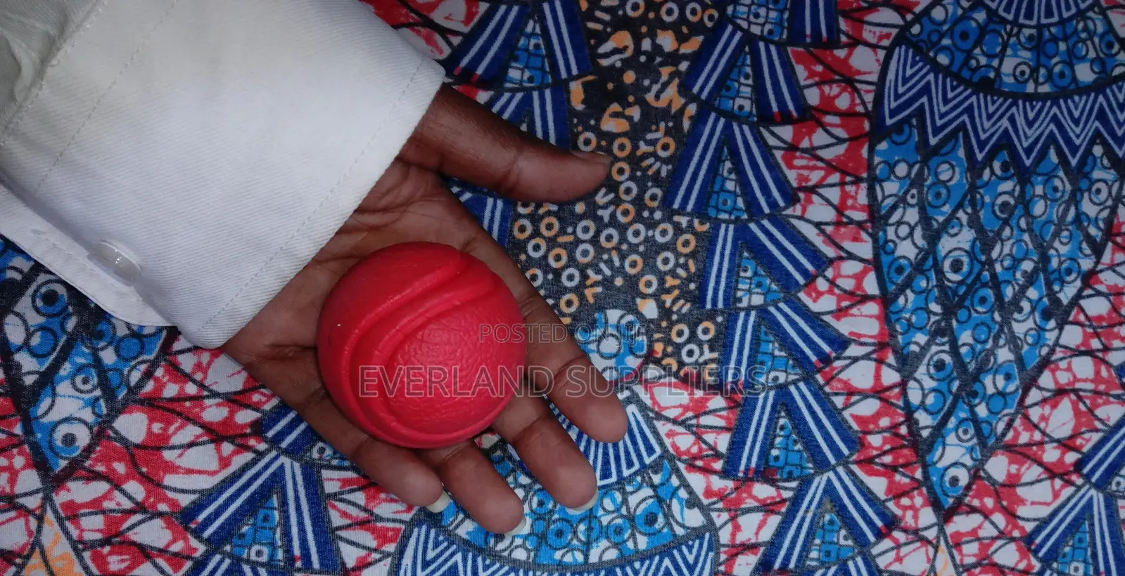 Fetch Ball Toy for Dogs