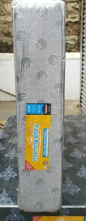 Morning Glory 4x6x10 Inch Plain Deluxe High Density Mattress
