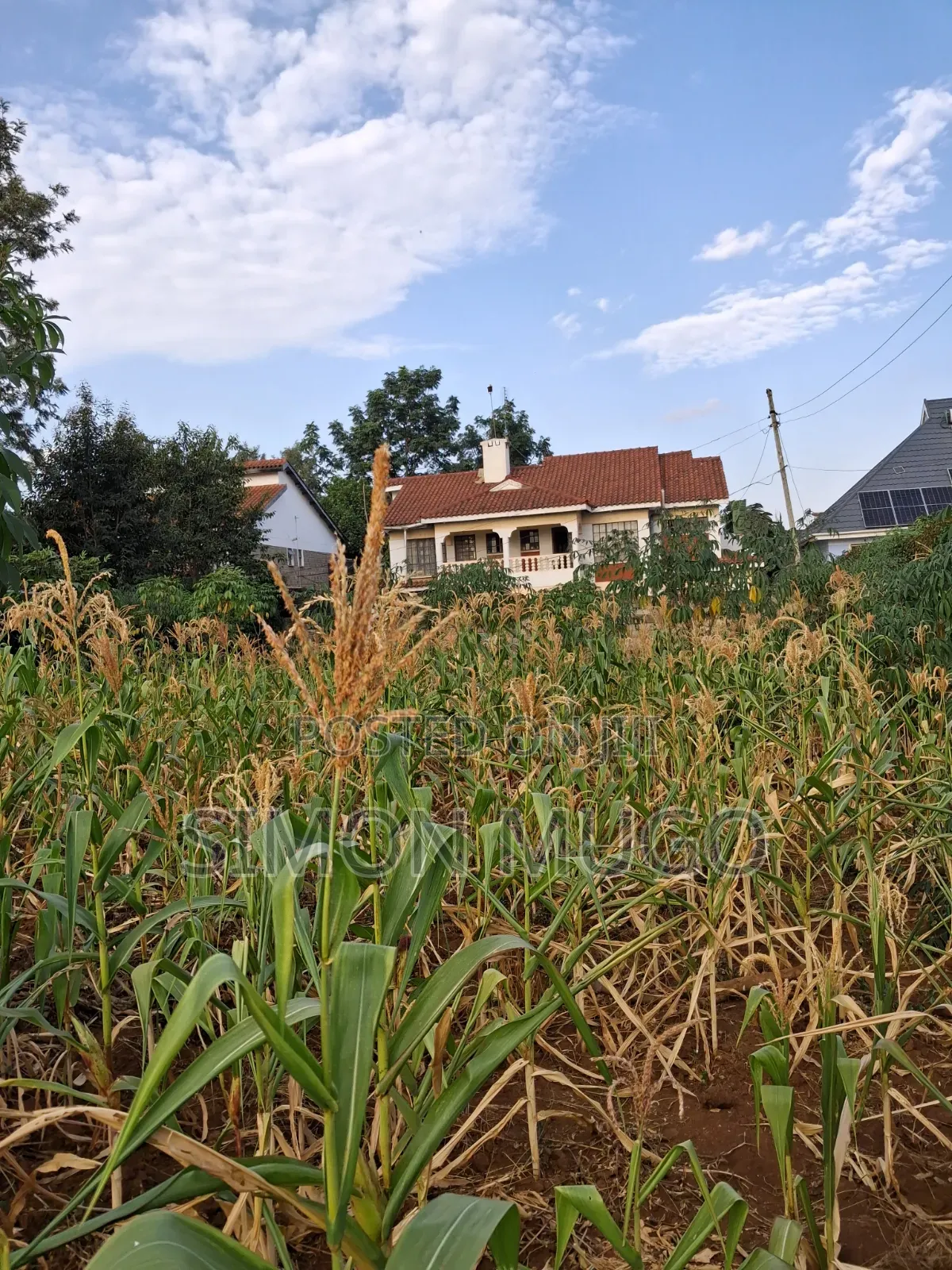 K/ Sukari Muranga Road Fully Serviced Well Drained Red Soil 1/4 Acre