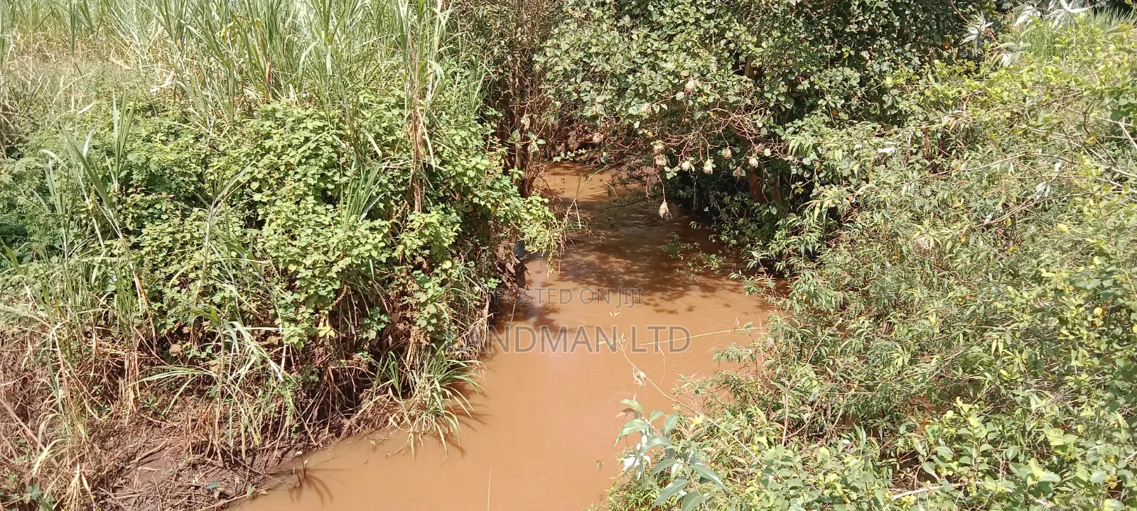 Prime 2 Acres Muranga Gaitega