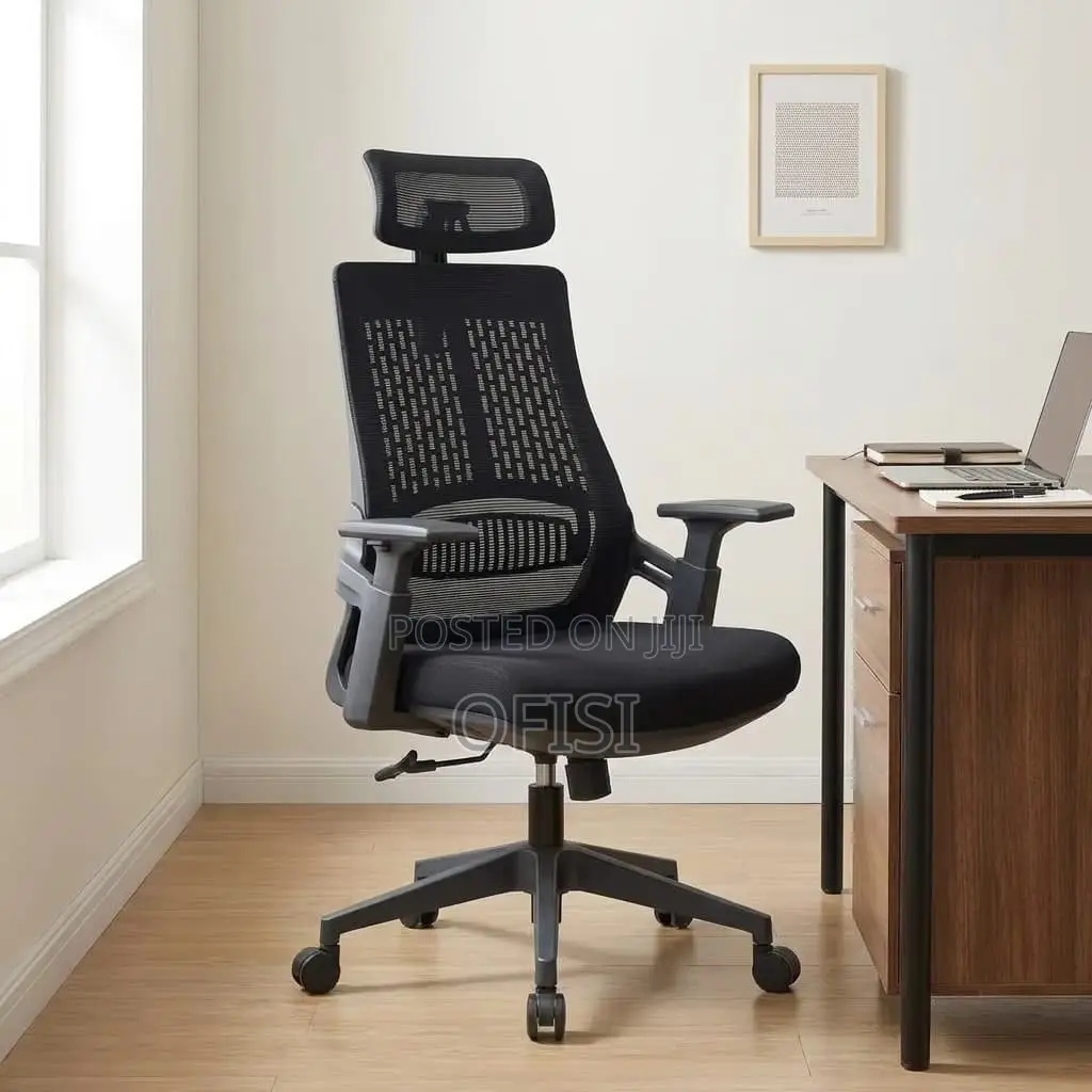Office Chair; Lama Orthopedic Ergonomic Office Chair