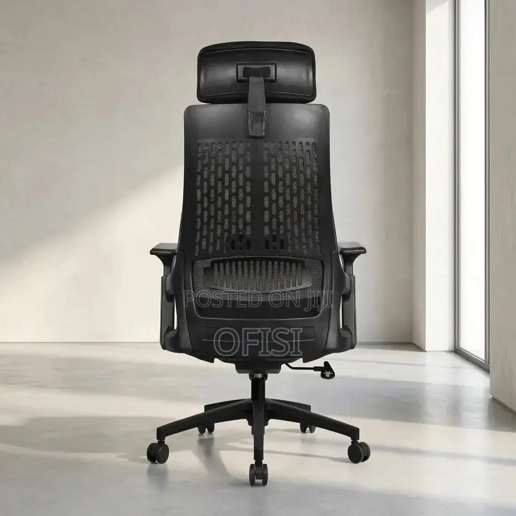 Office Chair; Lama Orthopedic Ergonomic Office Chair