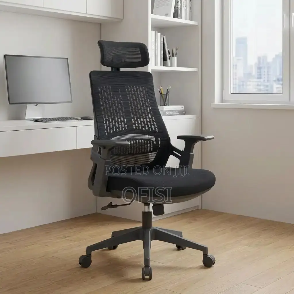 Office Chair; Lama Orthopedic Ergonomic Office Chair