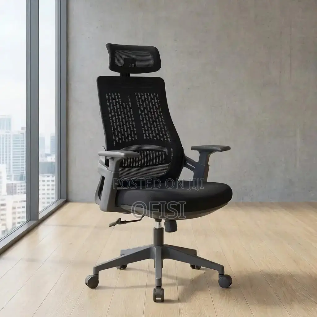 Office Chair; Lama Orthopedic Ergonomic Office Chair