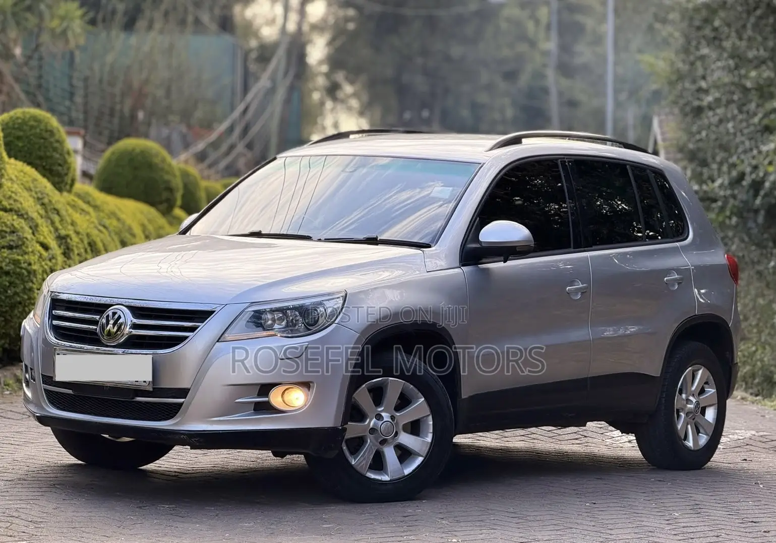 Volkswagen Tiguan 2.0 SE 2009 Silver