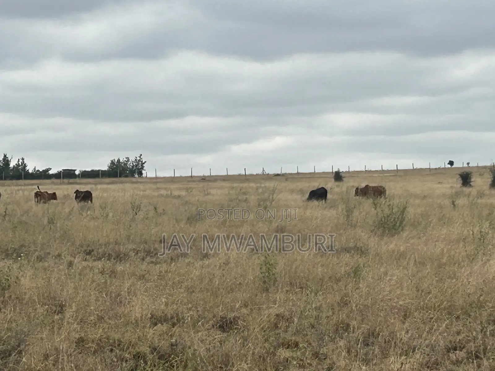 5 Acre Farm Land Isinya