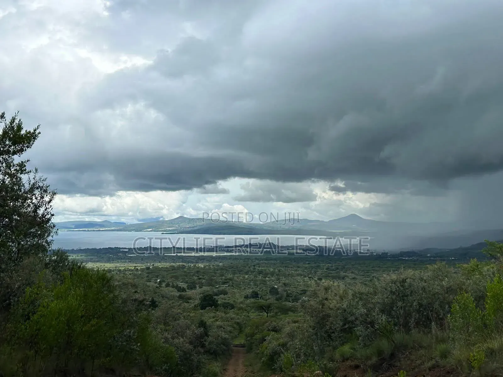 Naivasha, Green Park Phase 11, 5 Acres