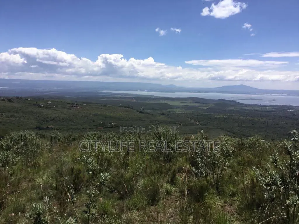 Naivasha, Green Park Phase 11, 5 Acres