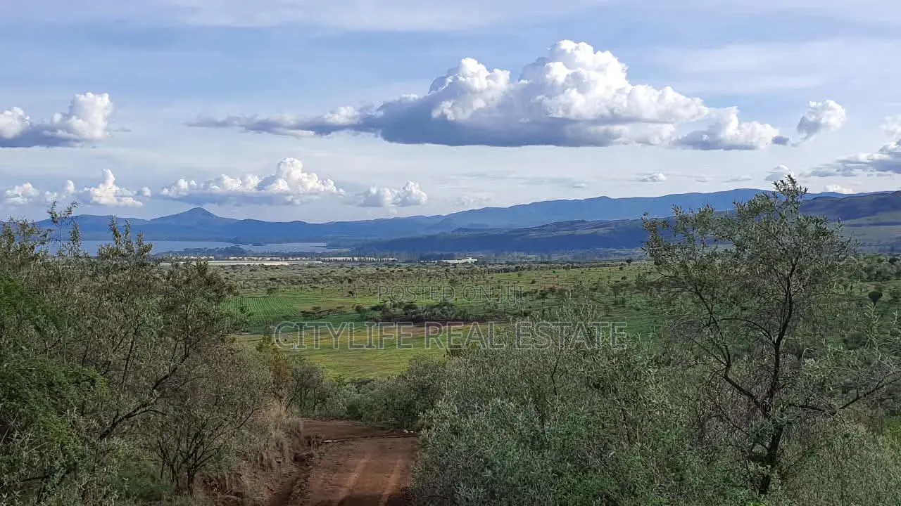 Naivasha, Green Park Phase 11, 5 Acres