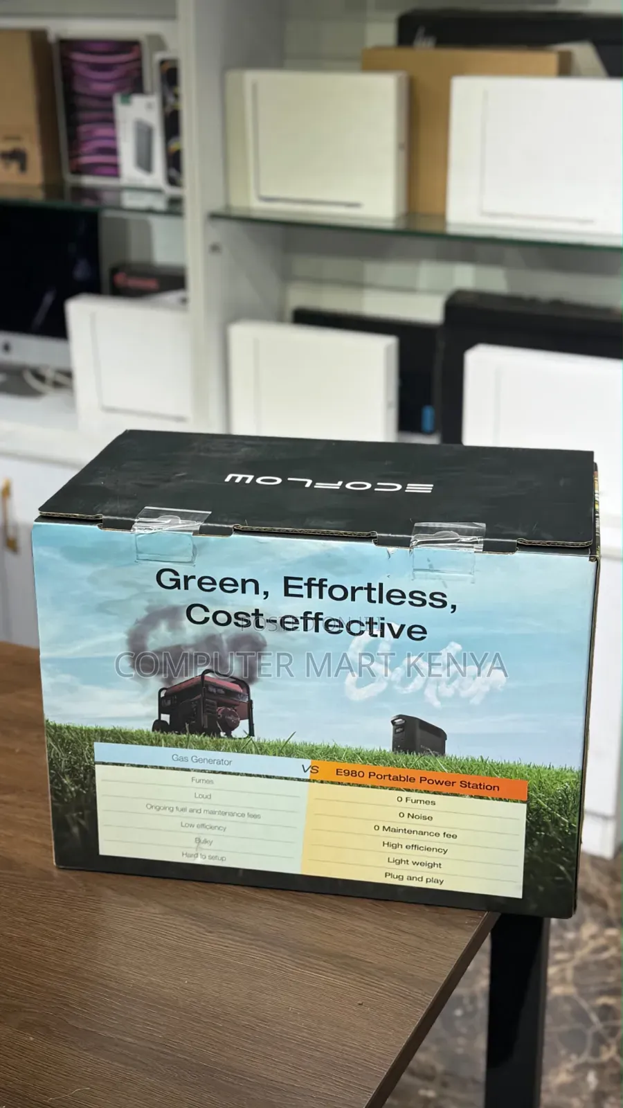 The Ecoflow E980 Portable Power Station