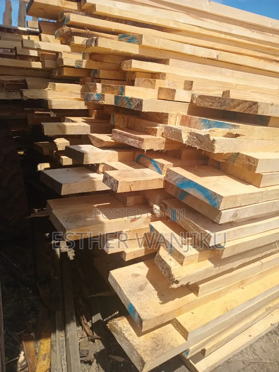 Affordable Timber With Great Quality:Cypress, Pine and Bluegum