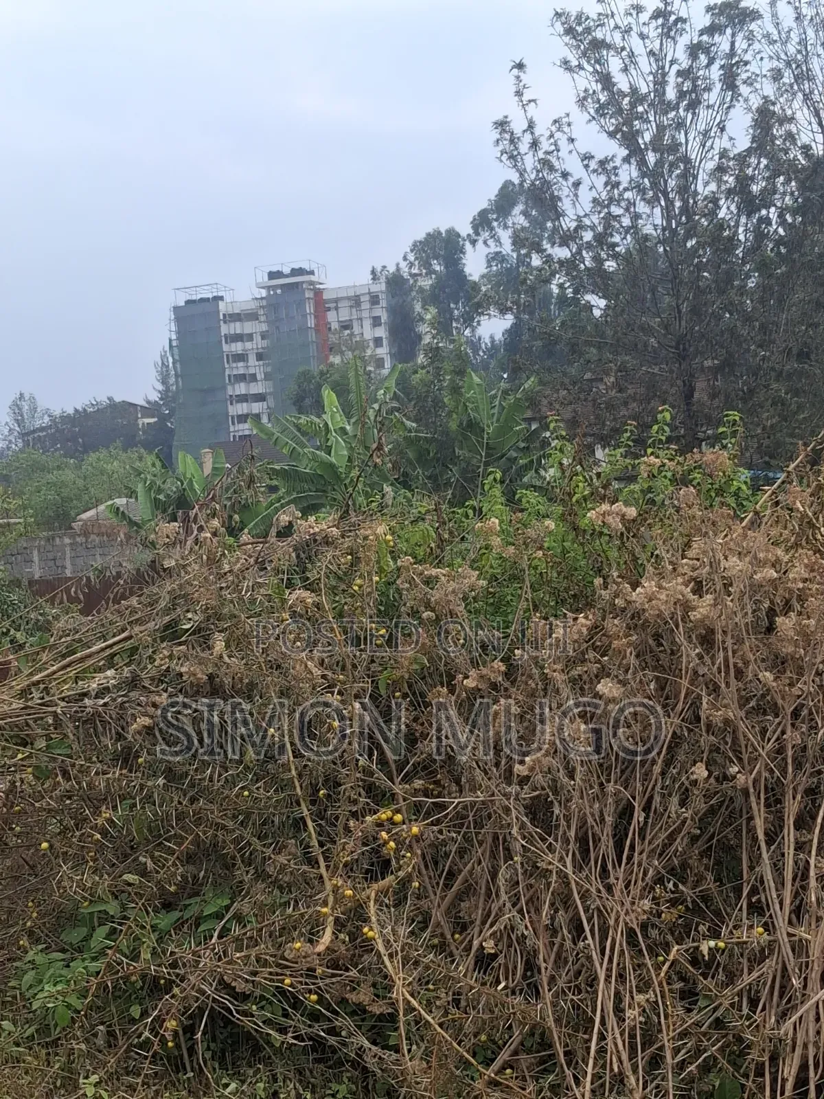 Safari Park Thika Road Prime 1/2 Acre Behind APLUS MOTORS Quick Sale