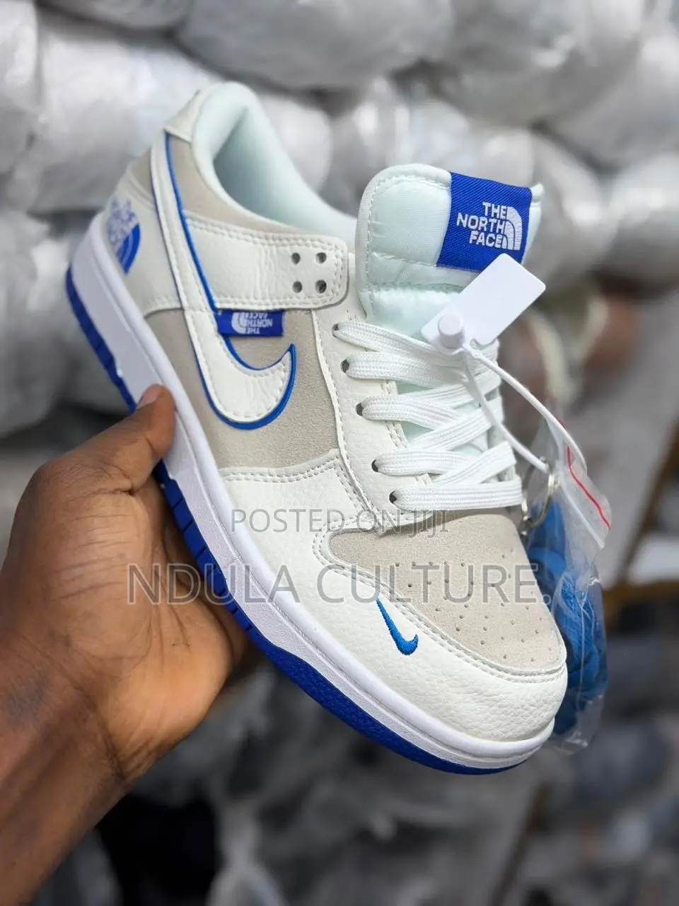 Nike Sb Dunk Skateboarding