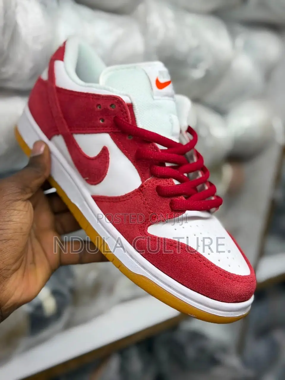 Nike Sb Dunk Skateboarding