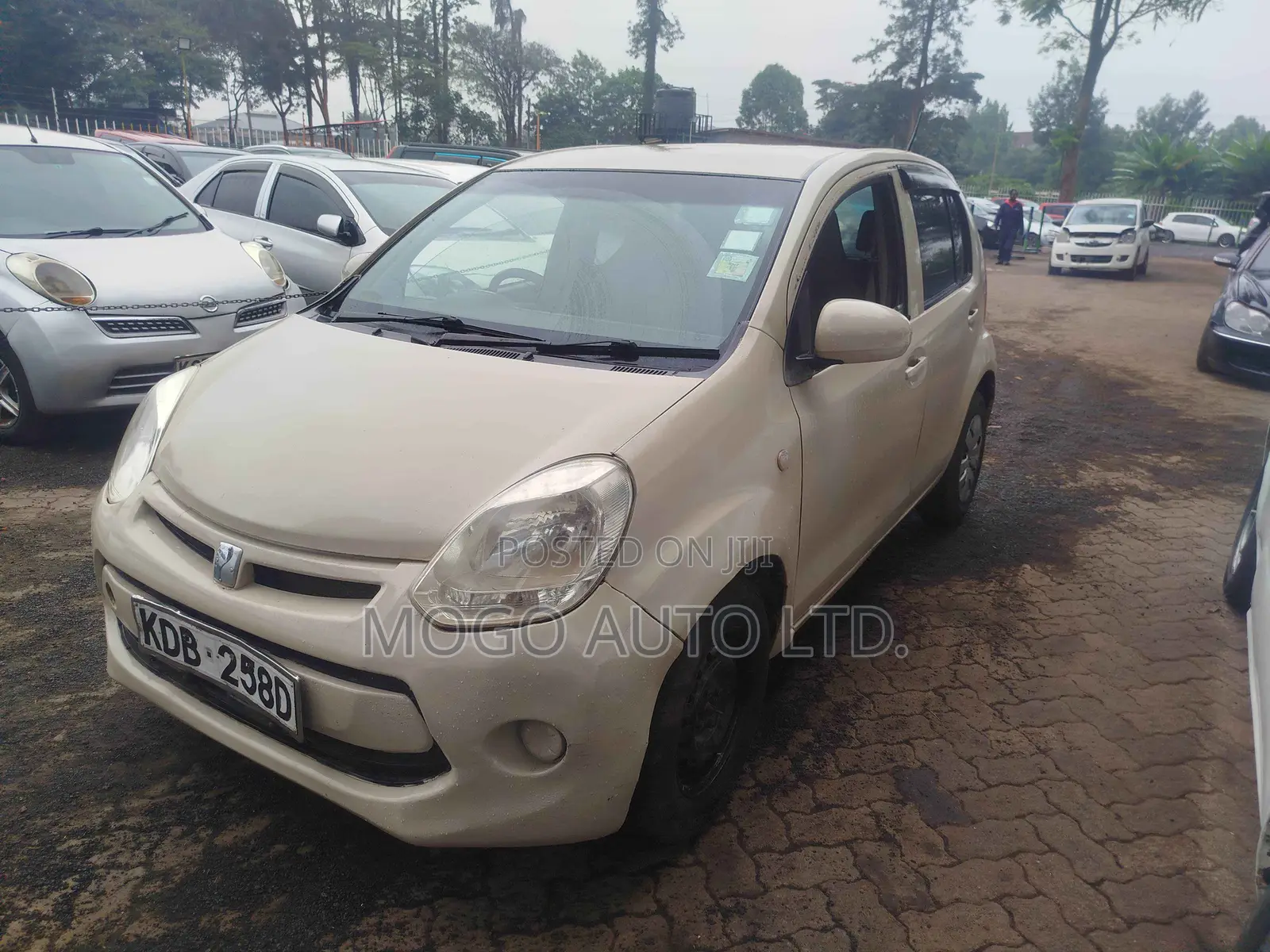 Toyota Passo 2014 Beige