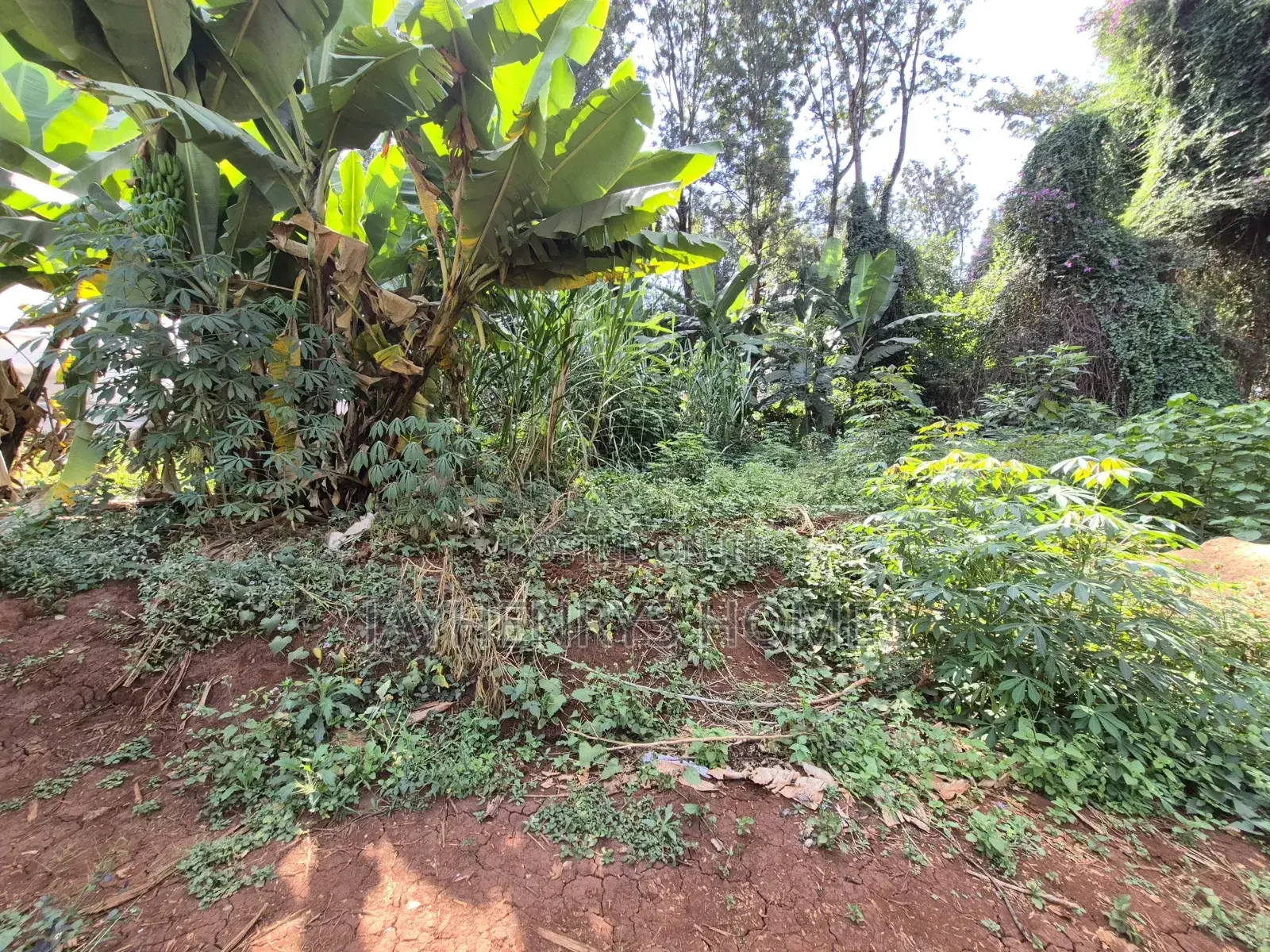 Half Acre Plot for Sale in Runda Near Makini School