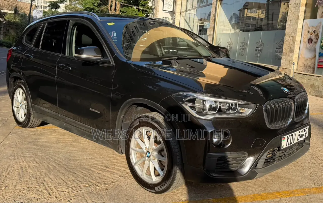 BMW X1 2017 Brown
