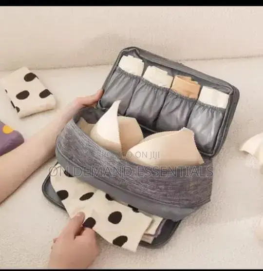 Portable Undergarments Organizer Bag
