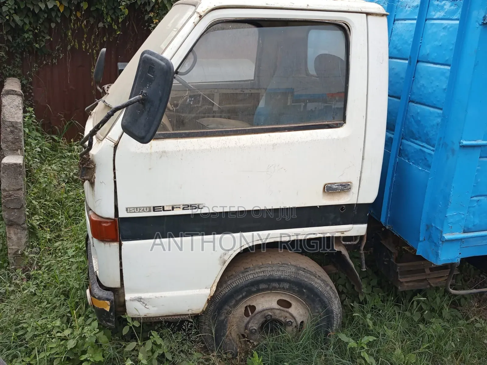 Cheap Isuzu NKR 3.3 Diesel Truck, Needs Engine, Lorry for Sale