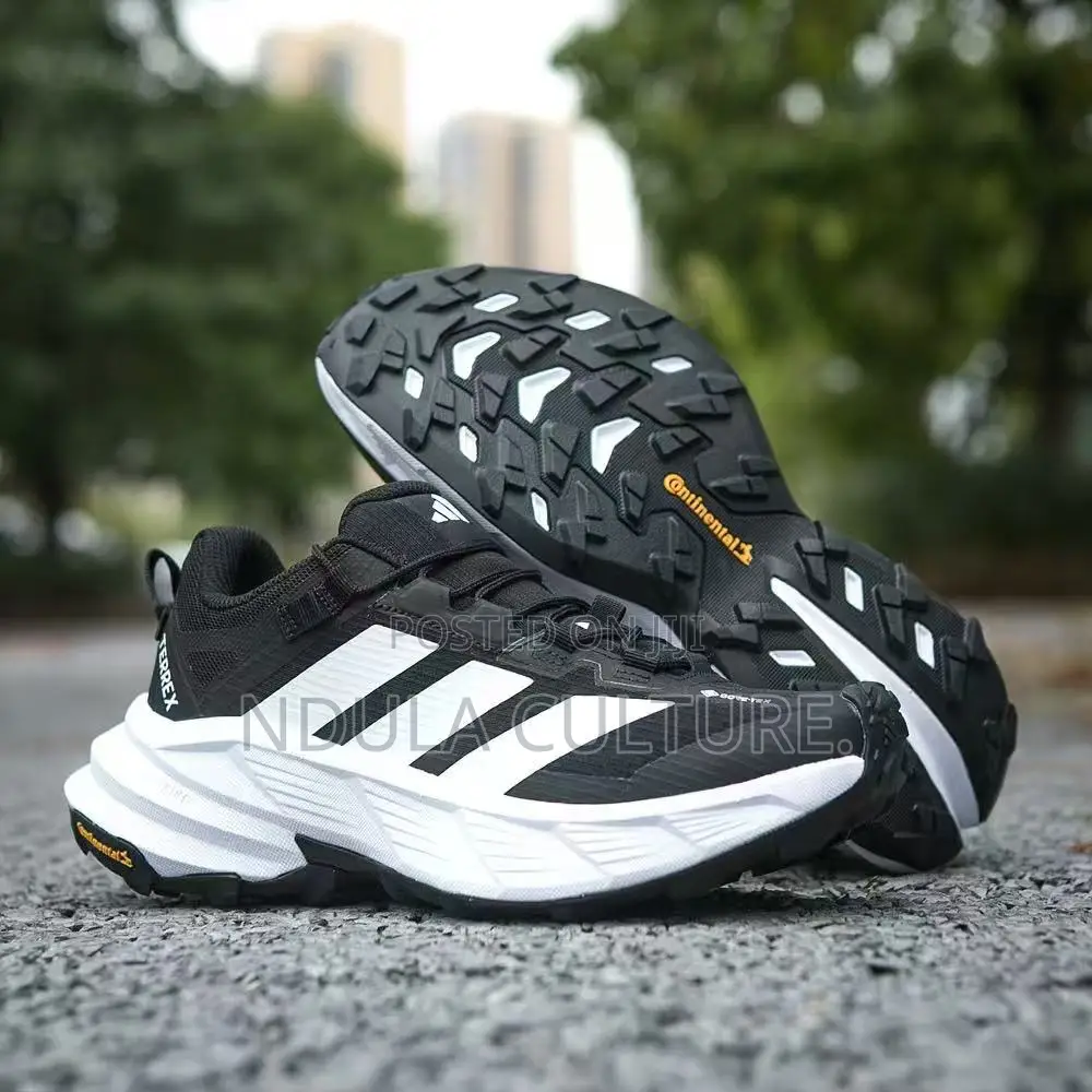 Adidas Terrex Hiking Shoes Featuring GORE-TEX