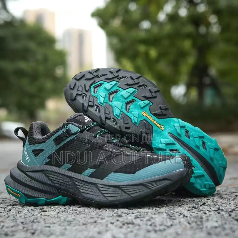 Adidas Terrex Hiking Shoes Featuring GORE-TEX