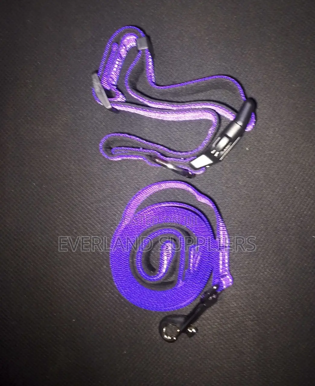 Reflective Dog Collar and Leash