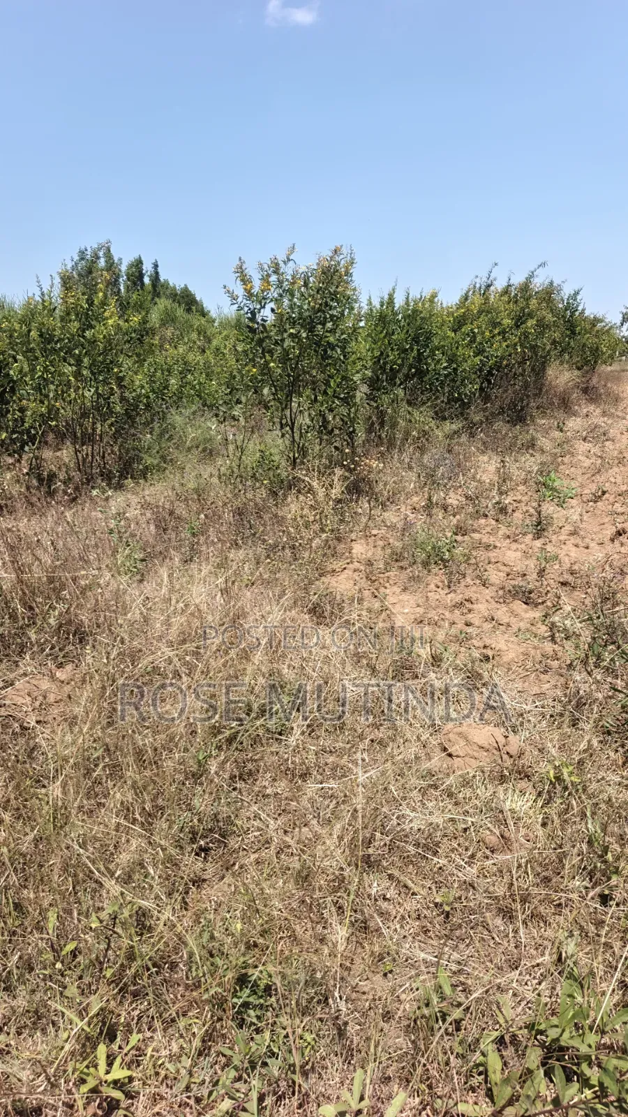 2acres at Wendano