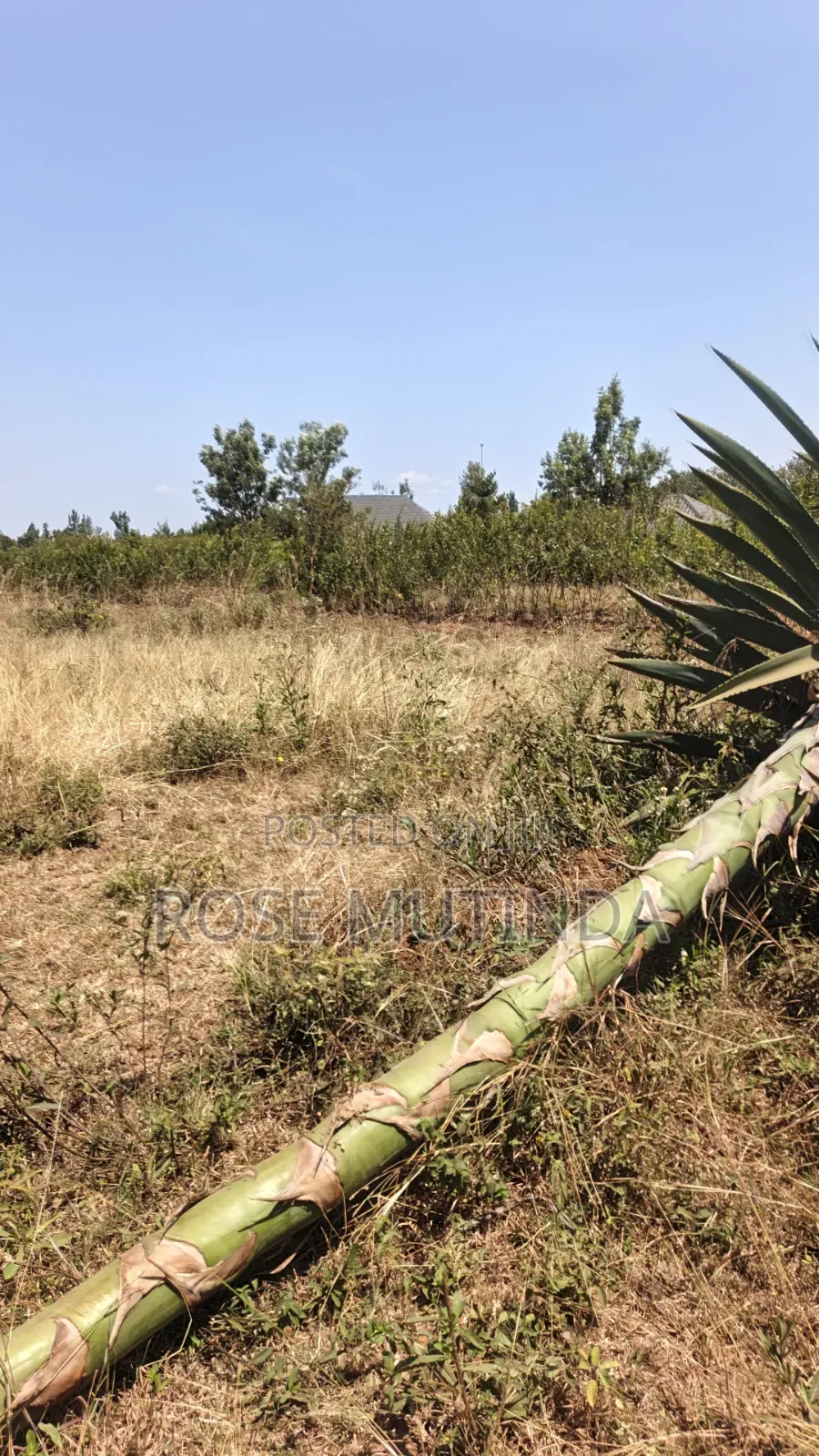 2acres at Wendano