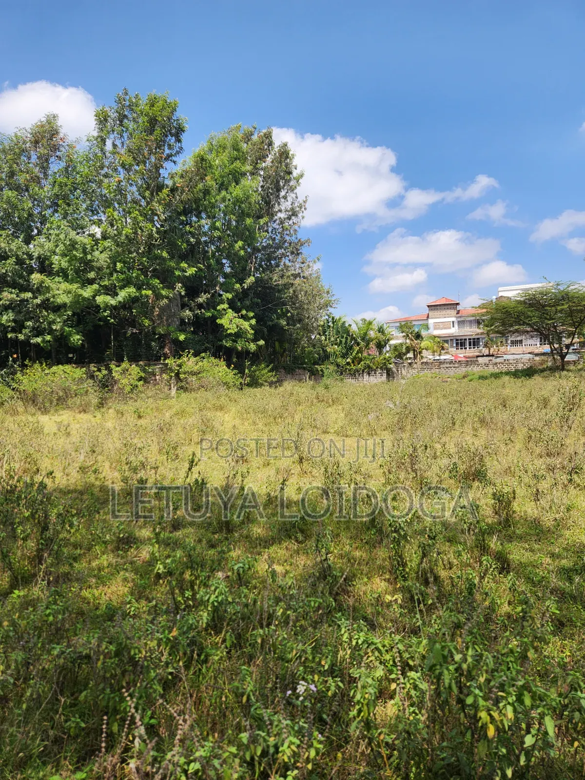 Prime 1-Acre Karen