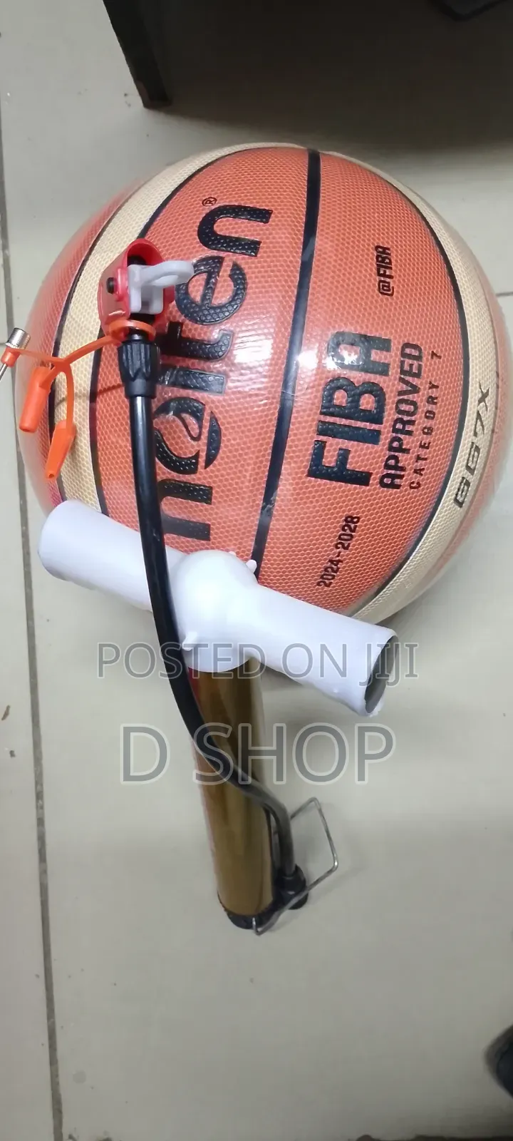 Molten Basketball and Free Pump