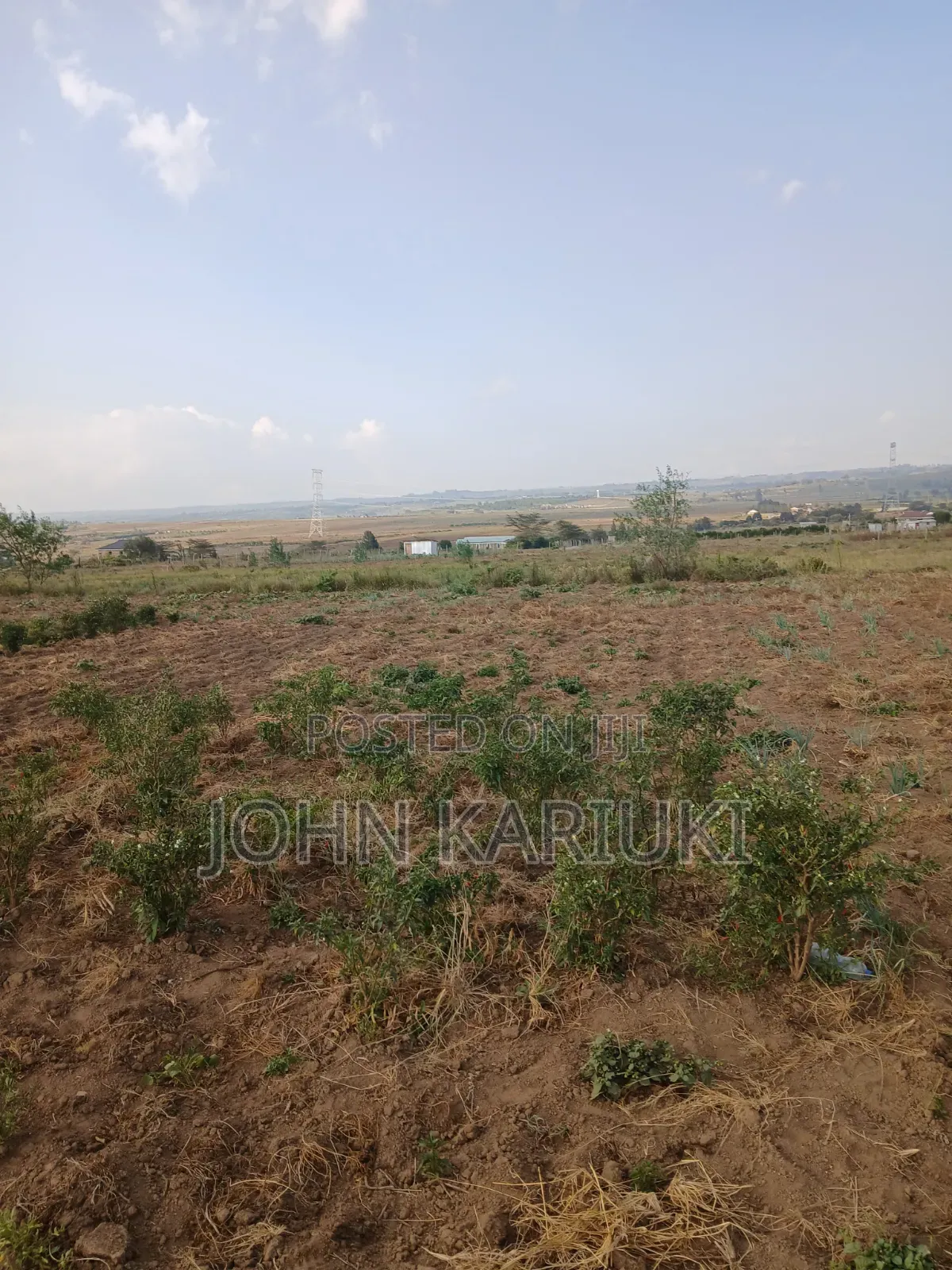 100x100 Plot in Naivasha Mirera Near Catholic Church and Adas BNBS