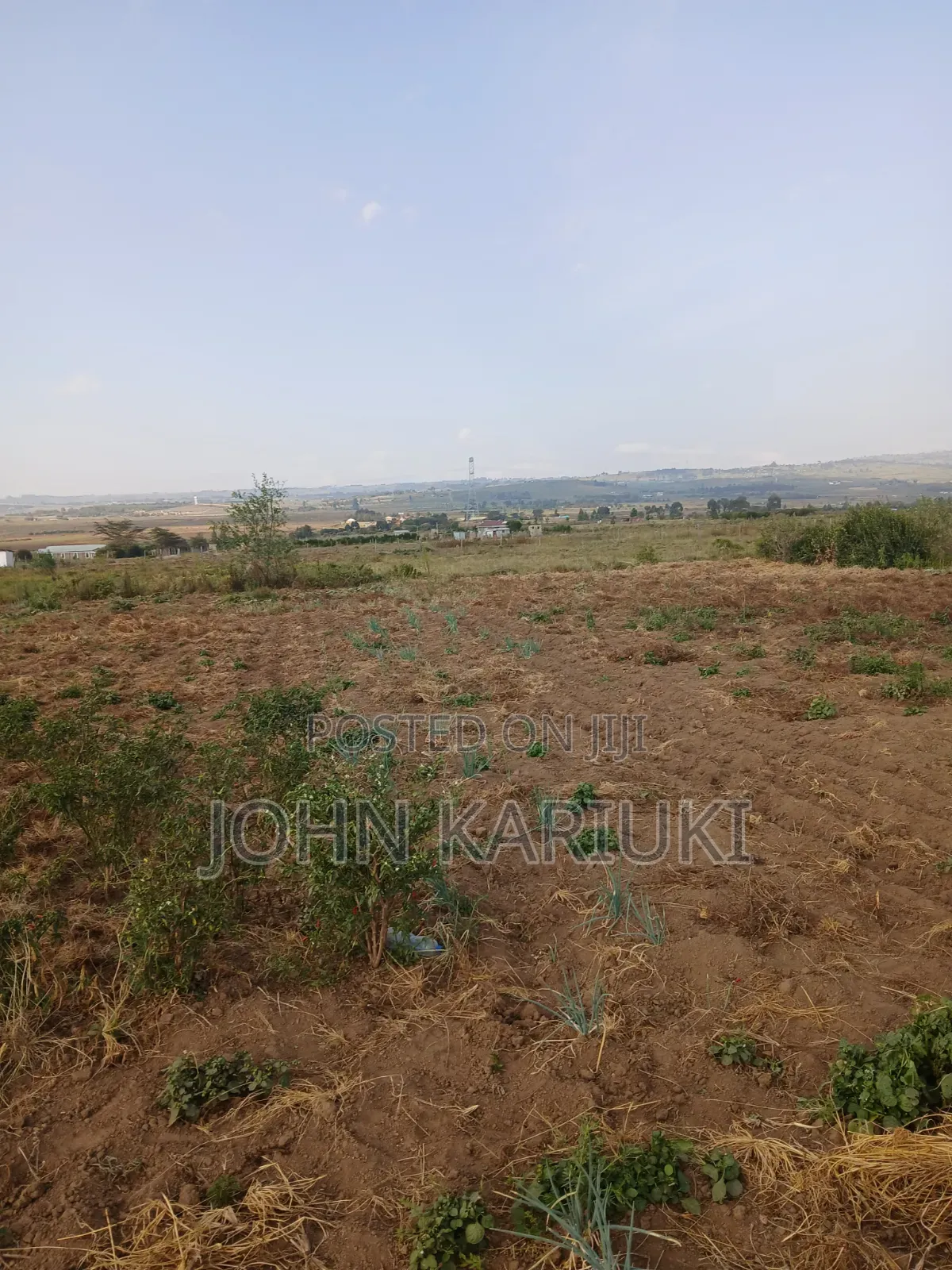 100x100 Plot in Naivasha Mirera Near Catholic Church and Adas BNBS