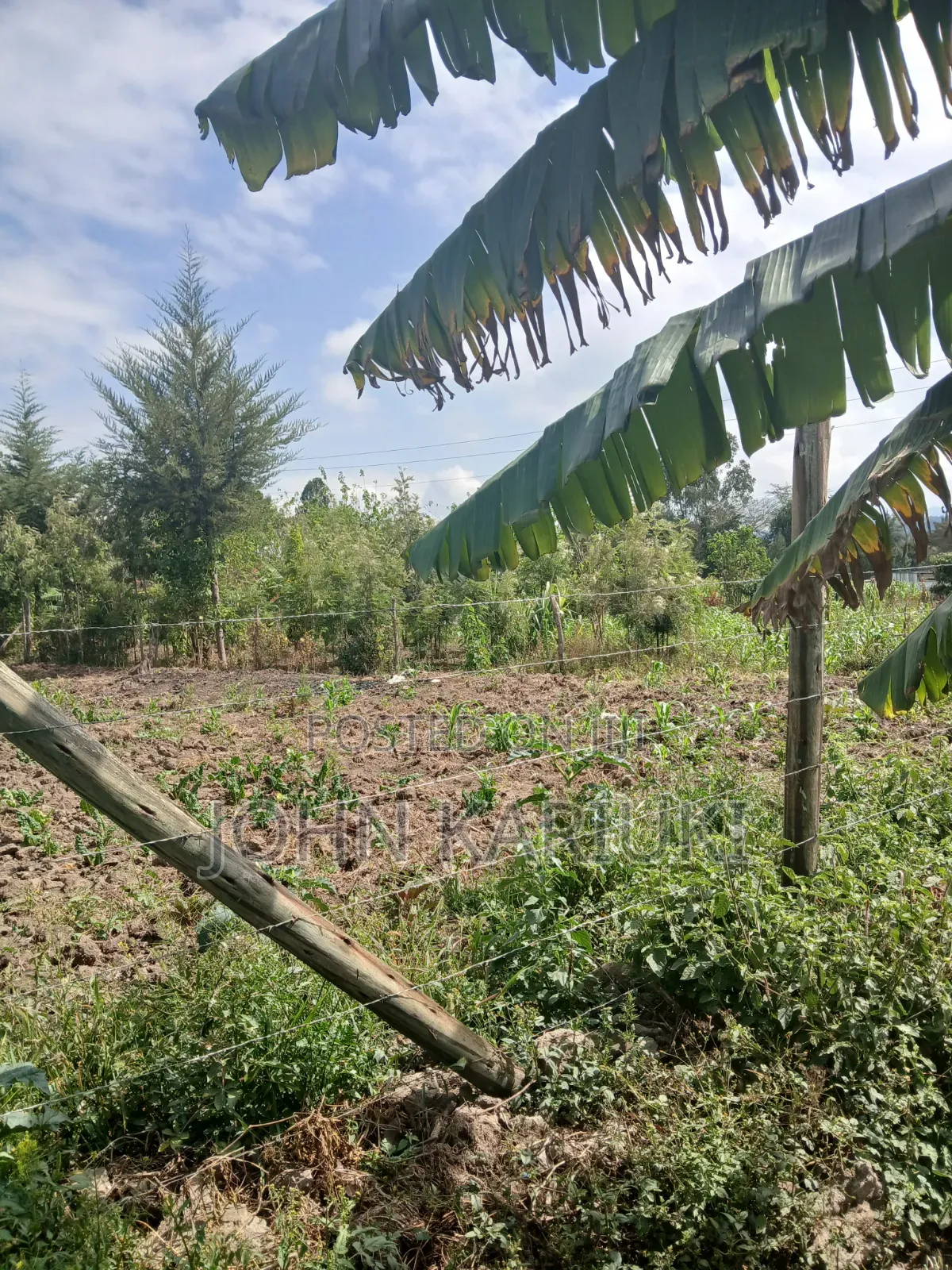 50x100 Plot in Naivasha Nyondia Touching the Tarmac Good for Develop
