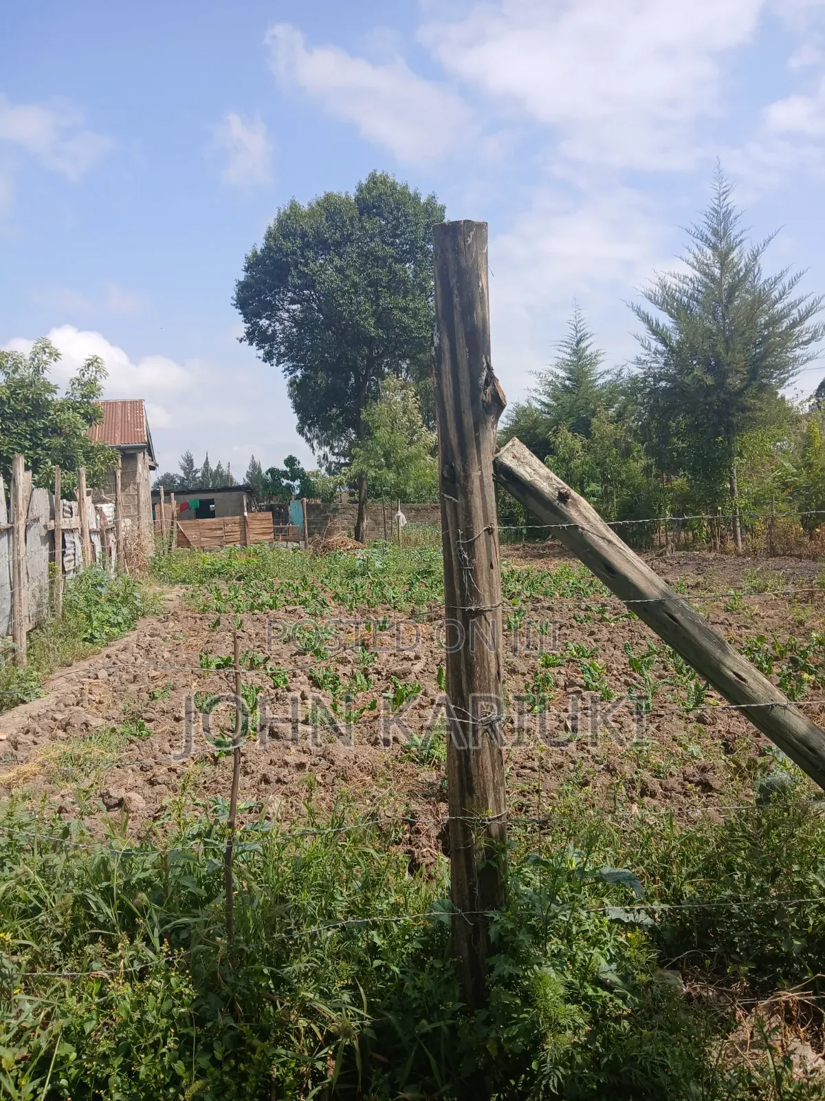 50x100 Plot in Naivasha Nyondia Touching the Tarmac Good for Develop