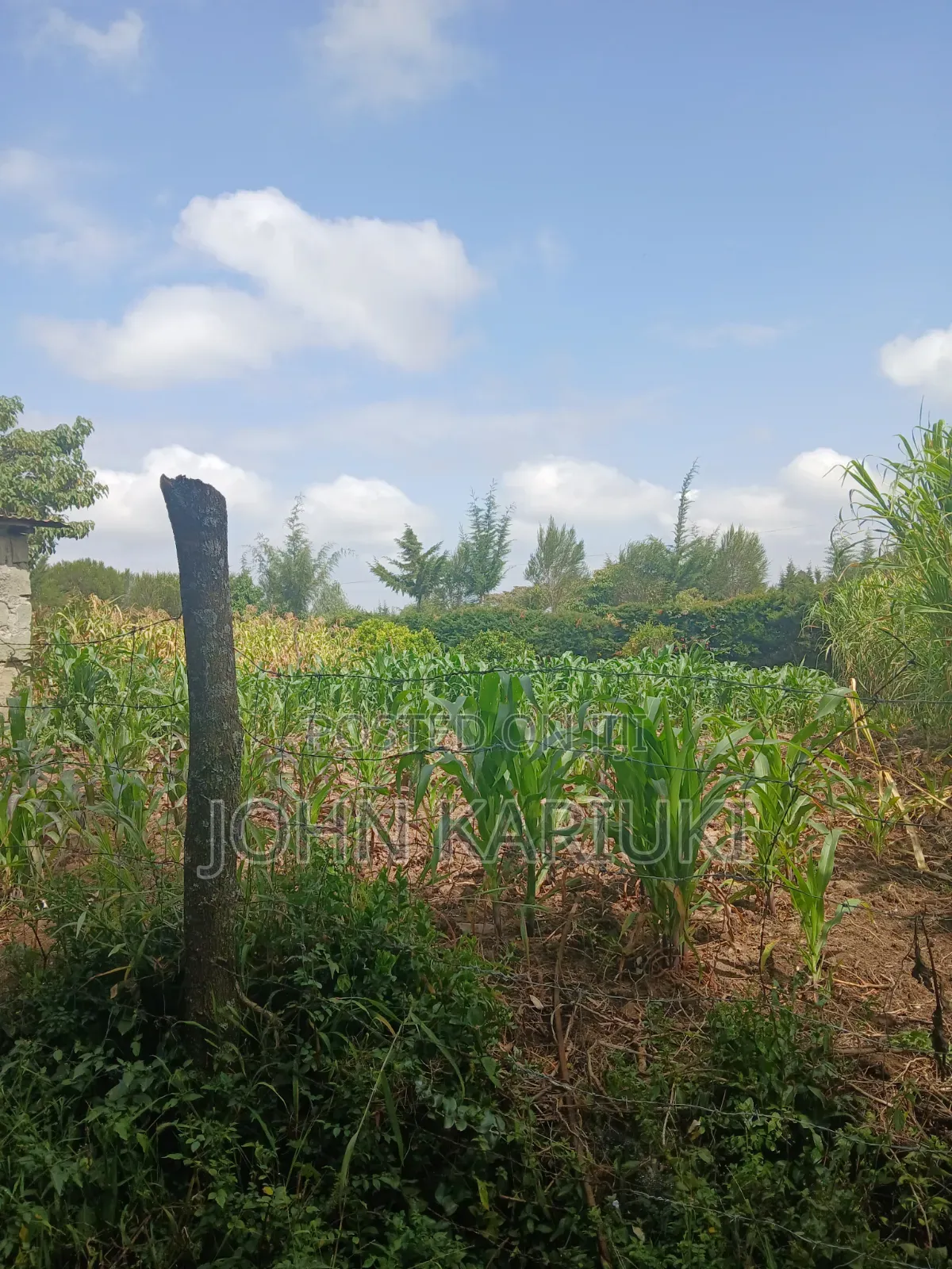 50x100 Plot in Naivasha Nyondia Touching the Tarmac Good for Develop