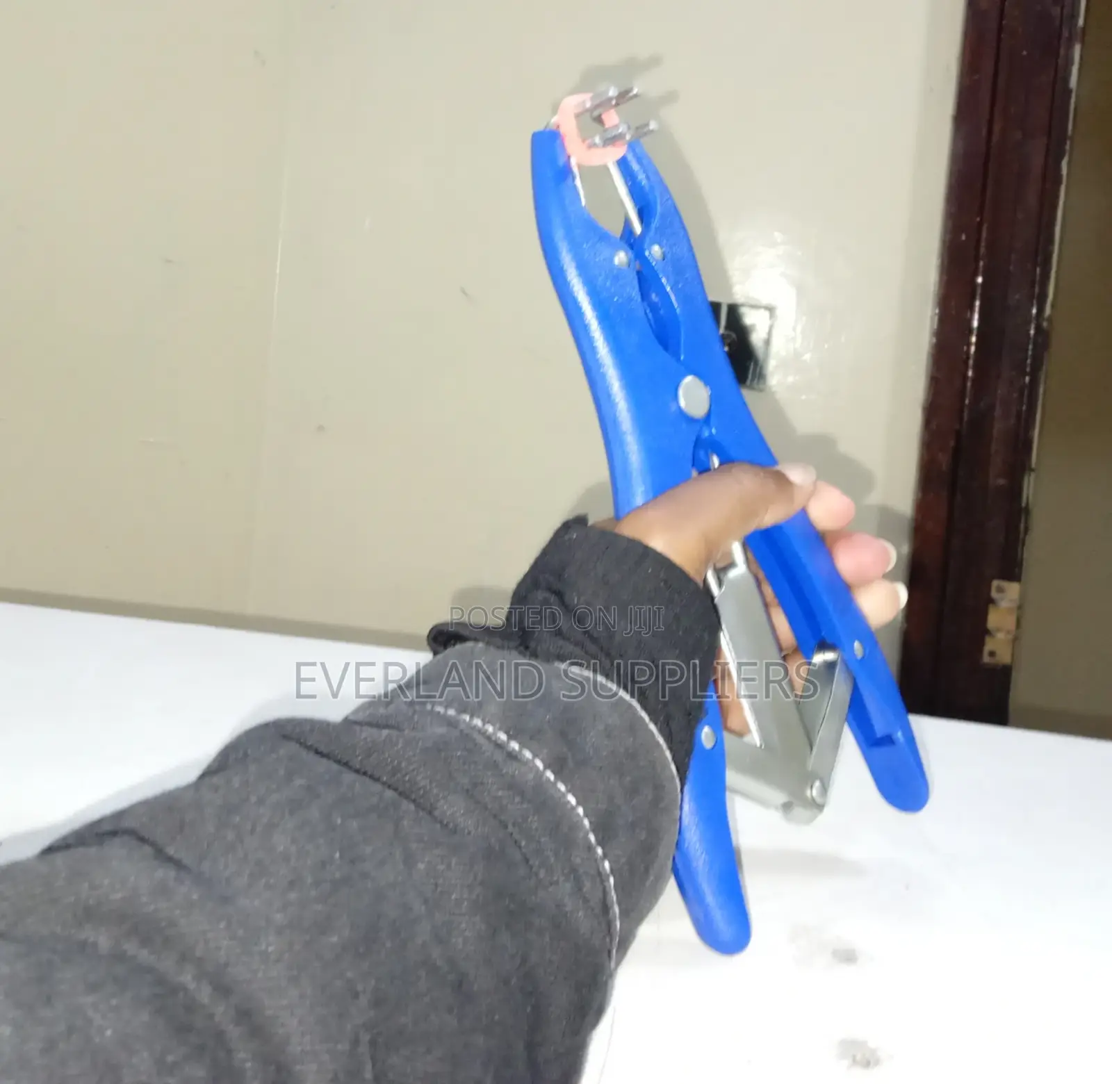 Elastrator for Livestock