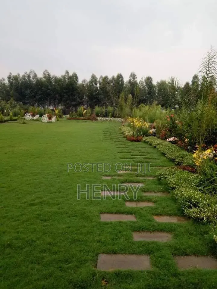 Landscaping and Gardening Services