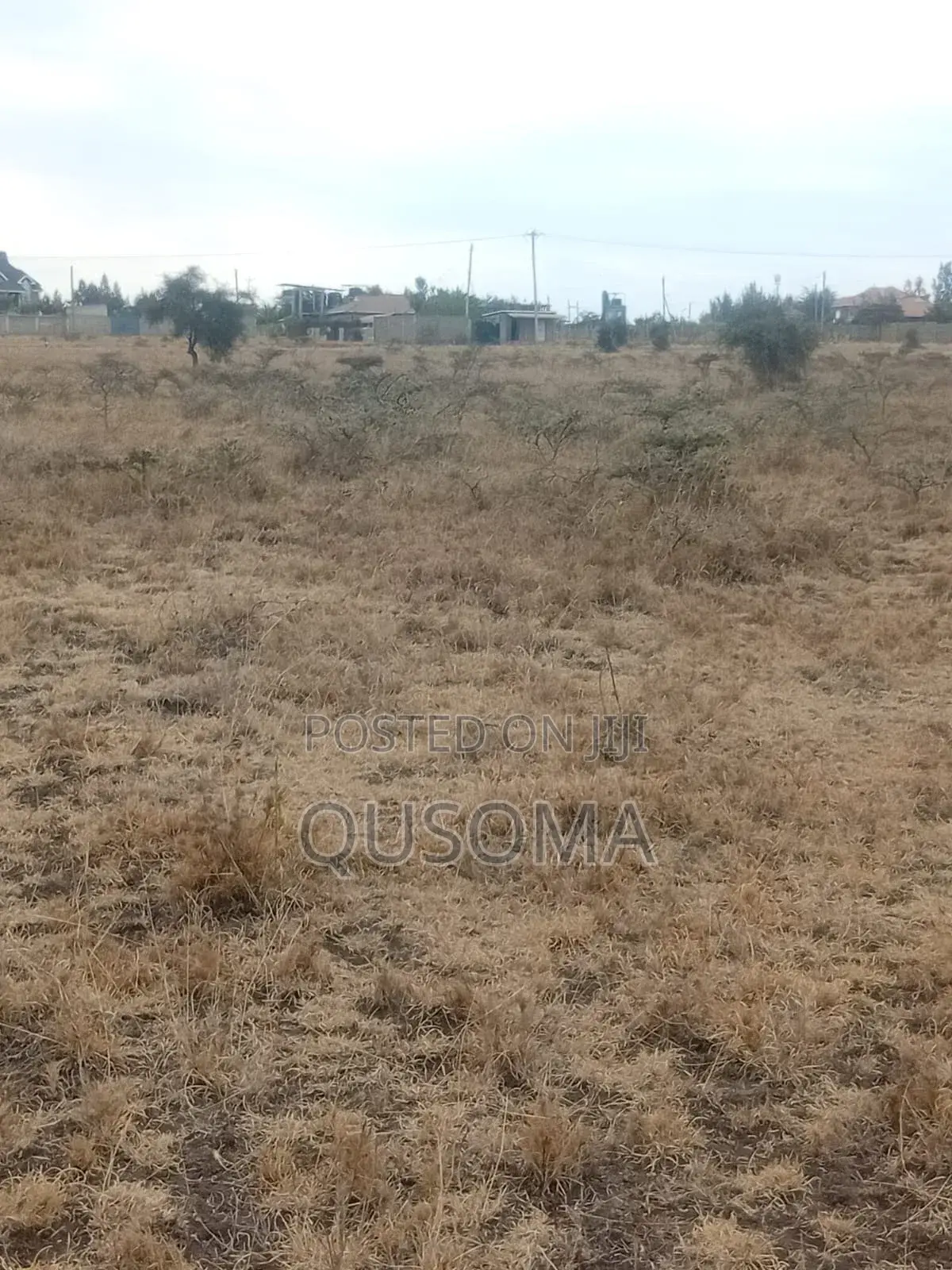  1/8 Acre Plot in Kitengela Railways Estate – Thorn Grove